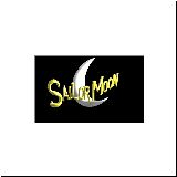 Sailor Moon Retro Graphics