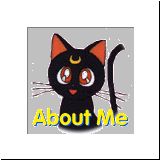 Sailor Moon Retro Graphics