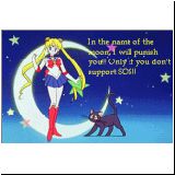 Sailor Moon Retro Graphics