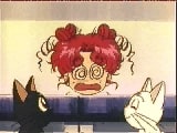Chibi Chibi Jumps into the Cats